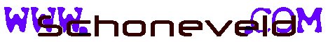 Schoneveld on the web banner