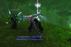 Lorthalium turns hostile
