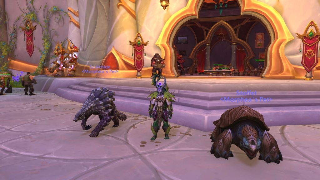 Morphea midnight gear